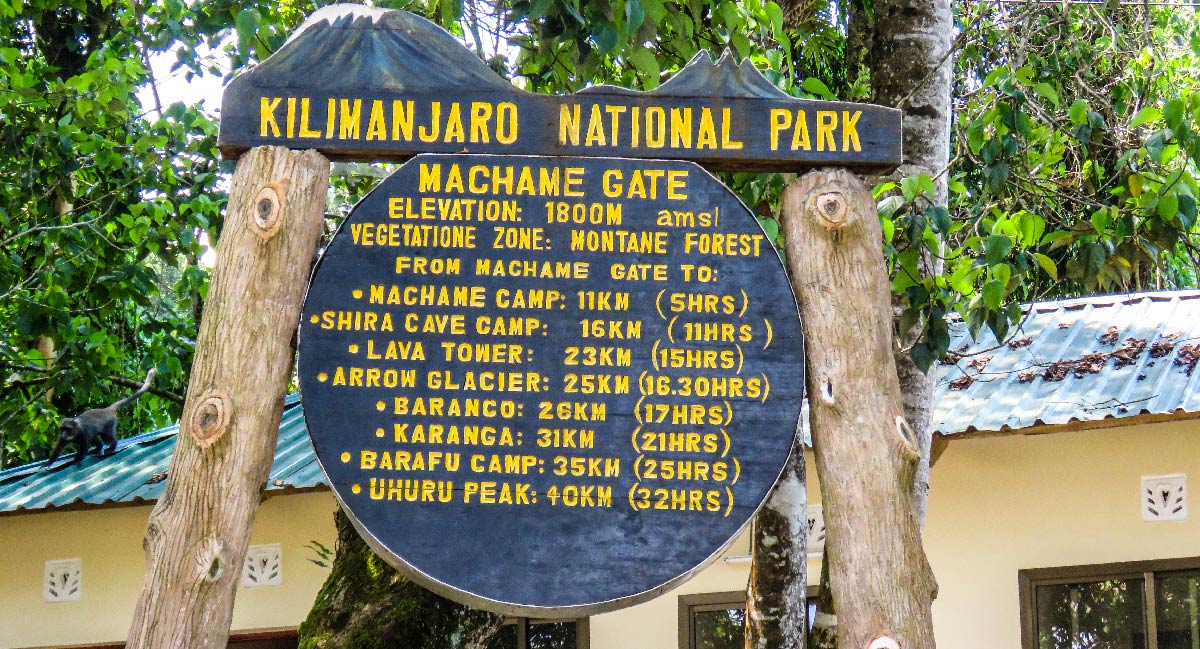 Why Choose The Machame Route for Your Kilimanjaro Adventure?