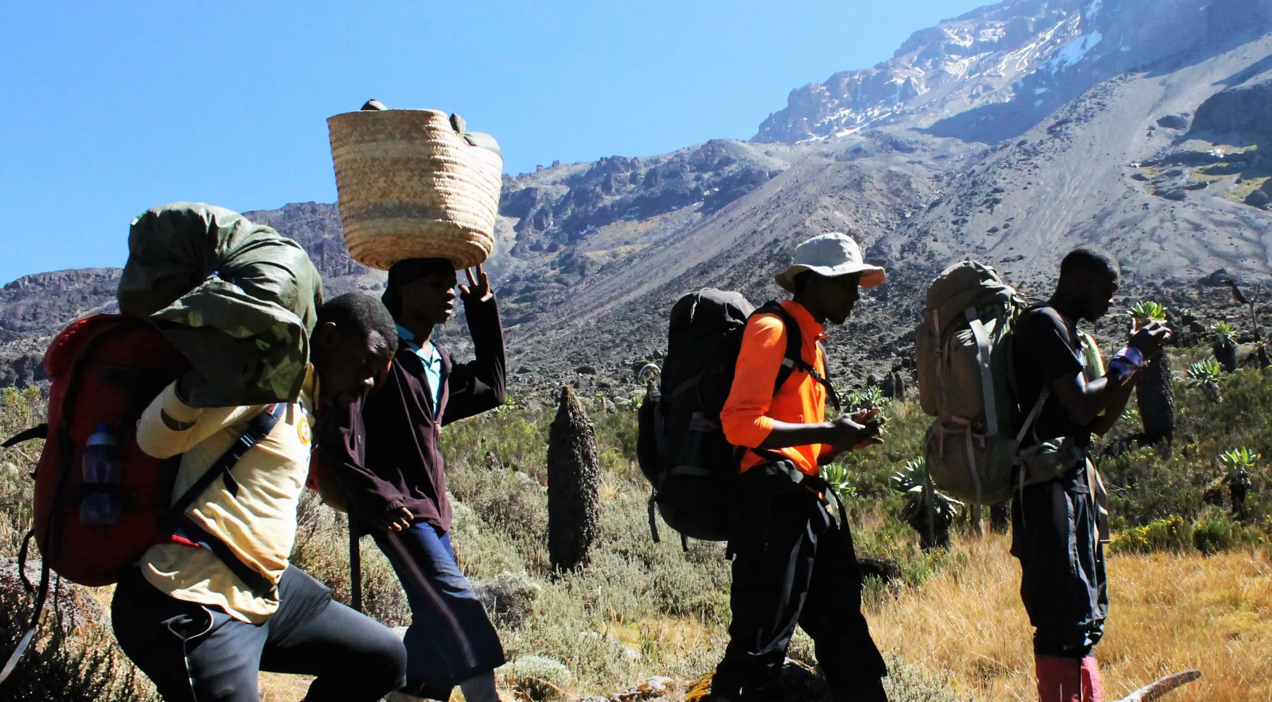 Kilimanjaro Local Guides