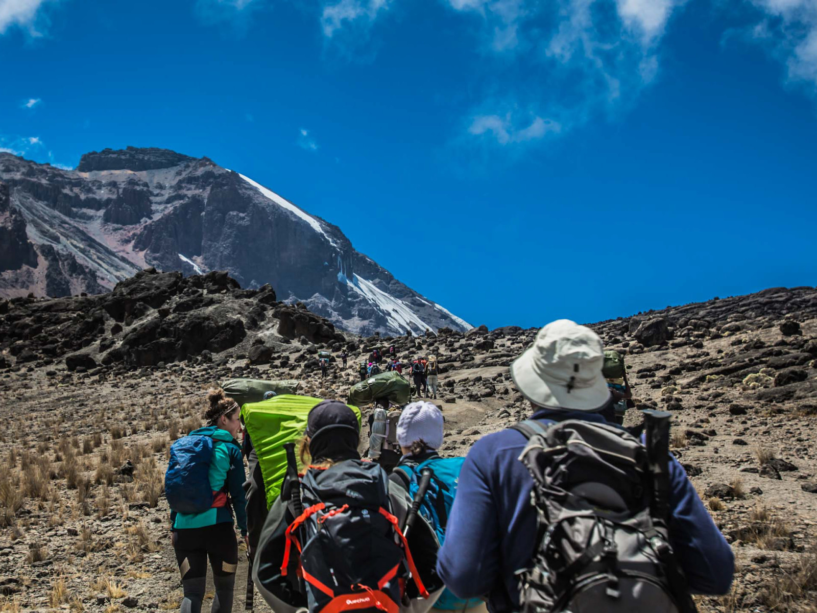 Why Choose The Northern Circuit Route for Your Kilimanjaro Adventure?