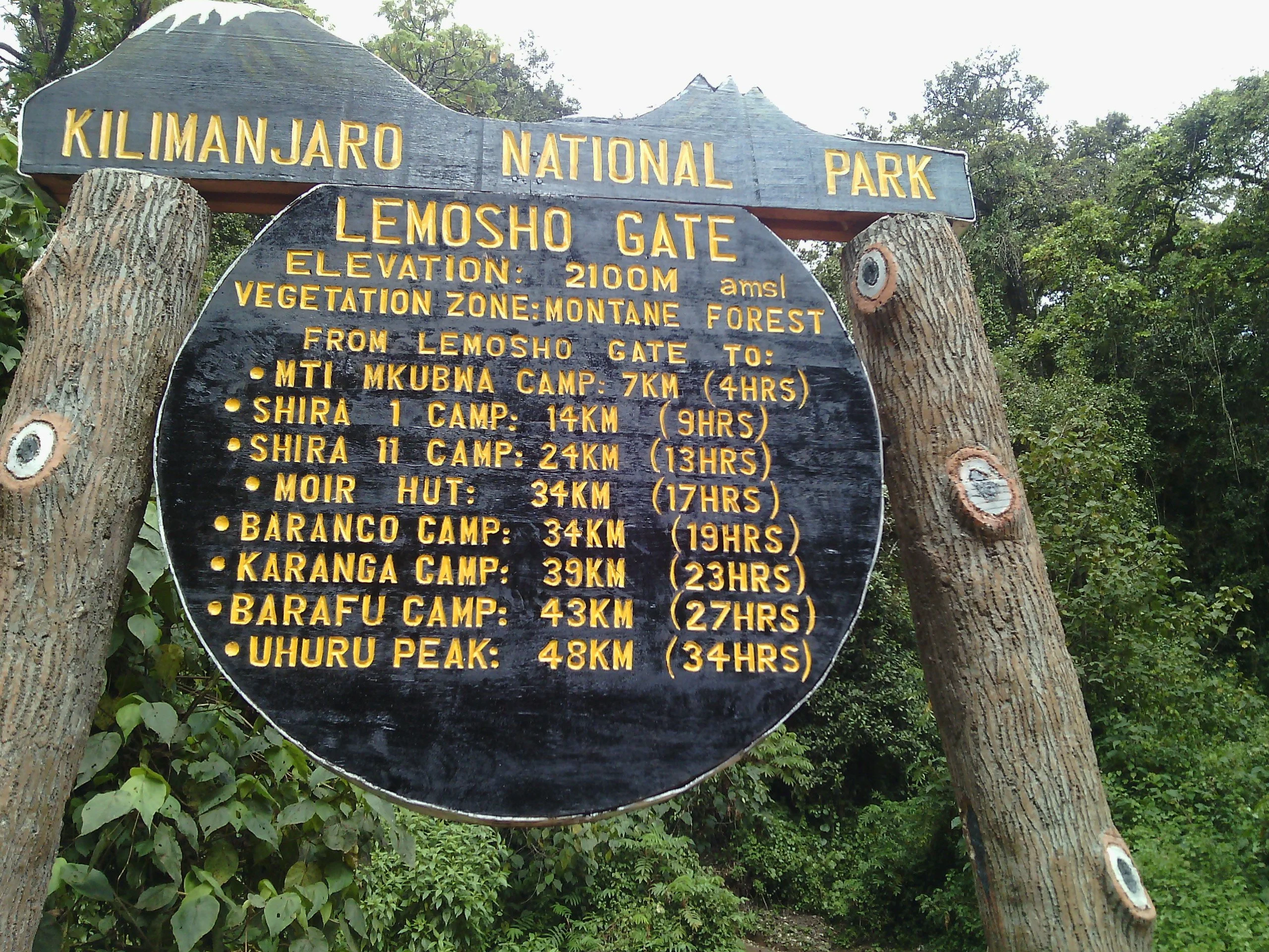Why Choose the Lemosho Route for Your Kilimanjaro Adventure?