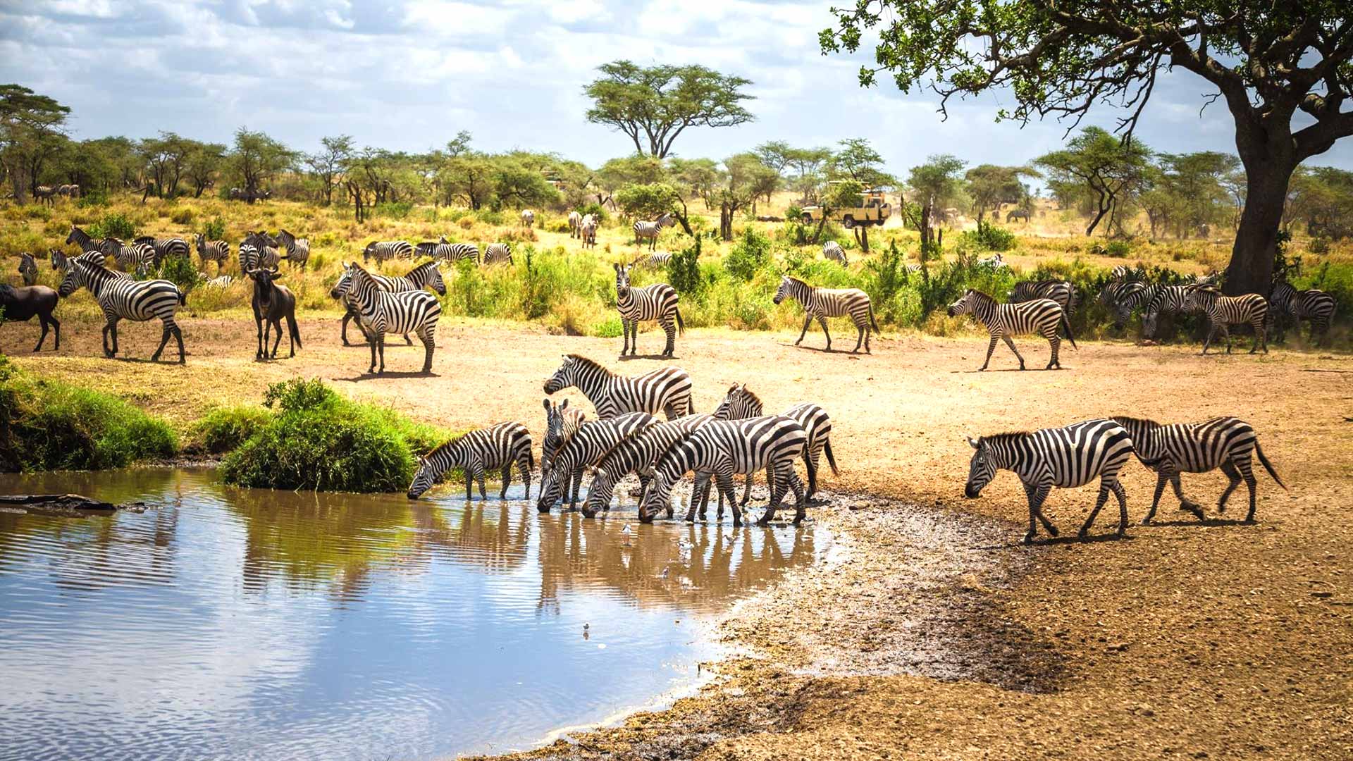 10 Unforgettable Things to See on Your Tanzania Safari.