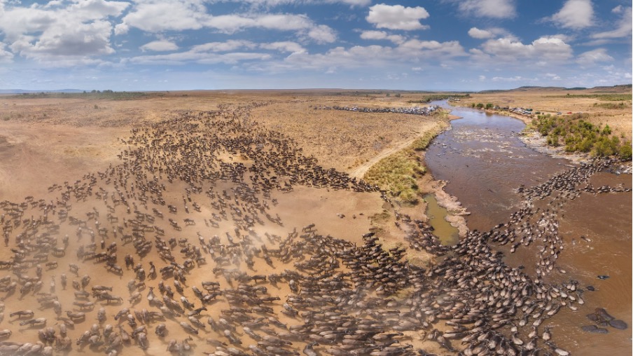 A Guide to the Great Wildebeest Migration in Tanzania