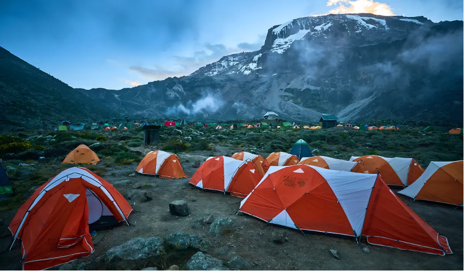 Your Ultimate Guide to Preparation and Trekking Safety on Kilimanjaro